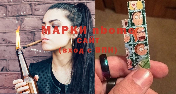 стаф Алзамай