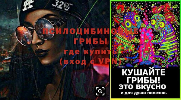 стаф Алзамай