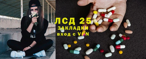 стаф Алзамай