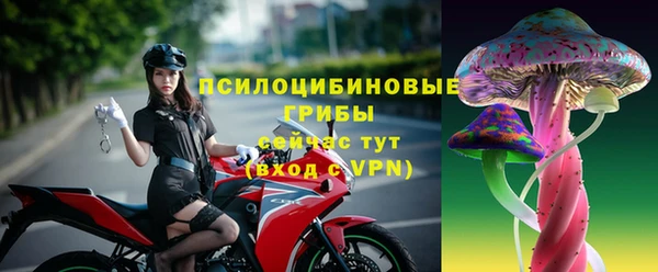 стаф Алзамай