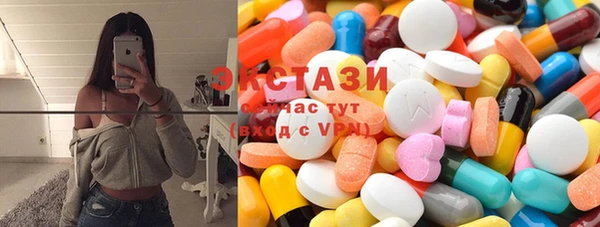 стаф Алзамай