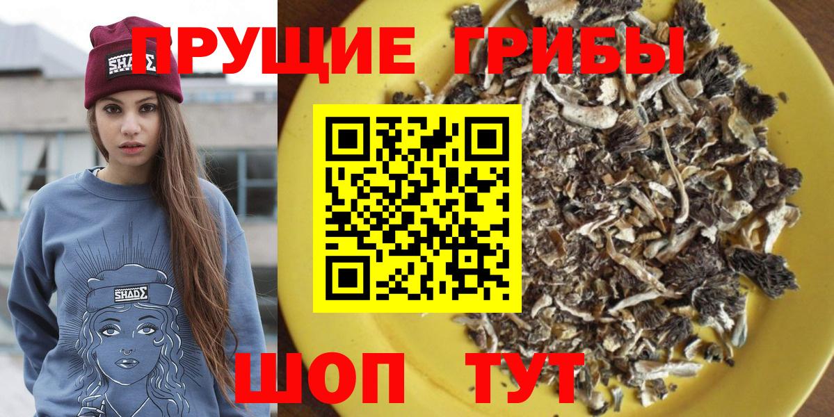 Псилоцибиновые грибы ЛСД  Вход с VPN  Минусинск  Галлюциногенные грибы GOLDEN TEACHER 