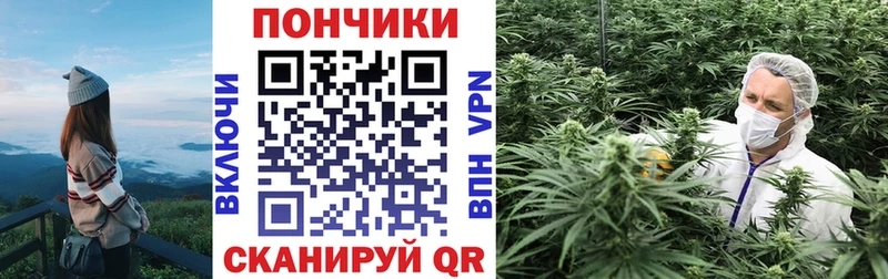 mega зеркало  Минусинск  Марихуана гибрид 
